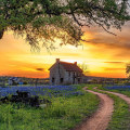 The Magic of the Golden Hour: The Best Time for Photo Shoots in West Central Texas